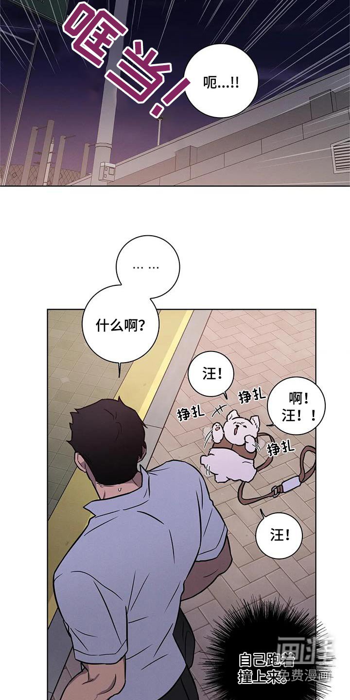 第34章：【番外】散步