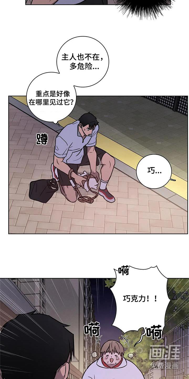 第34章：【番外】散步