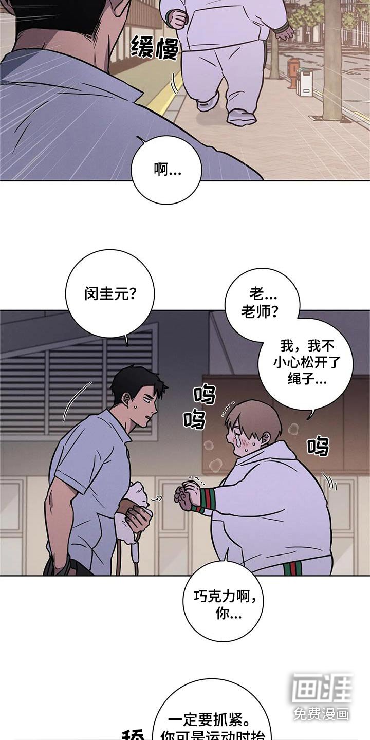 第34章：【番外】散步