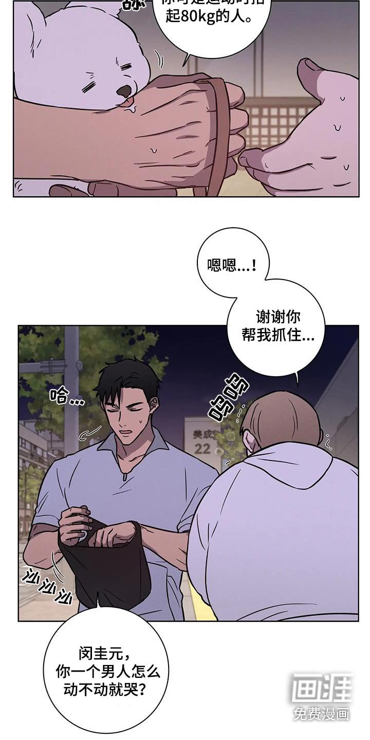 第34章：【番外】散步