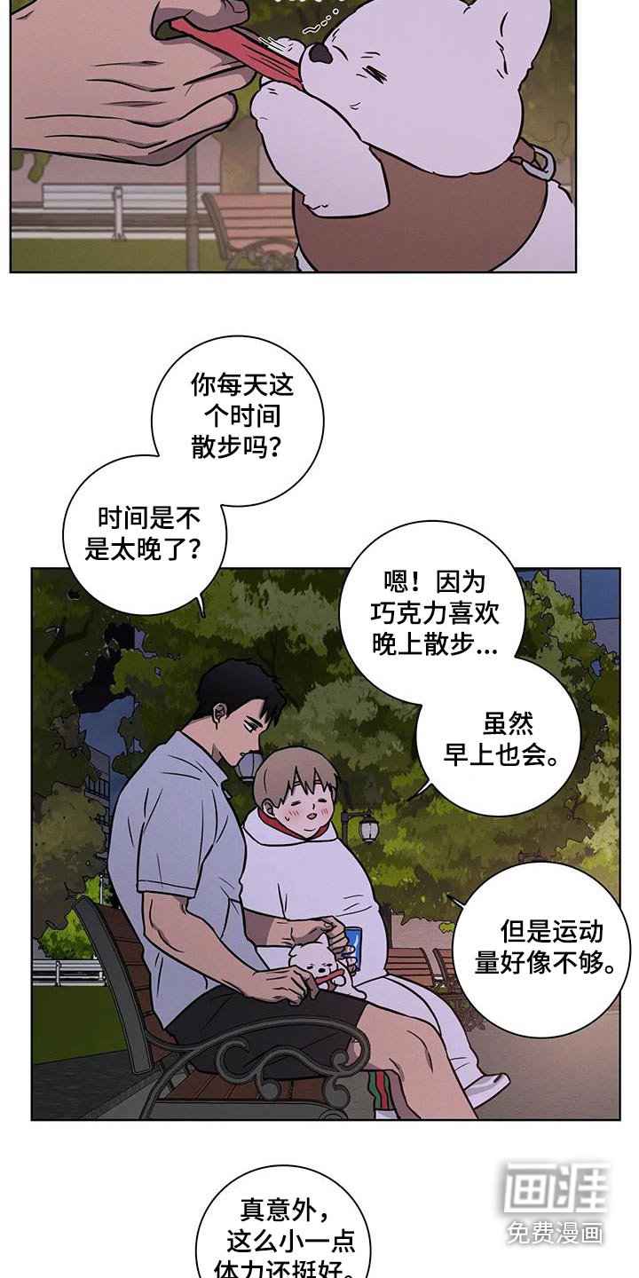 第34章：【番外】散步