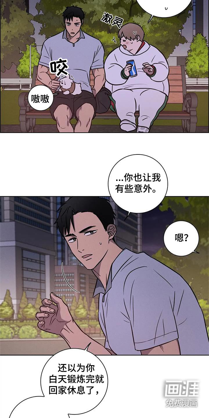 第34章：【番外】散步