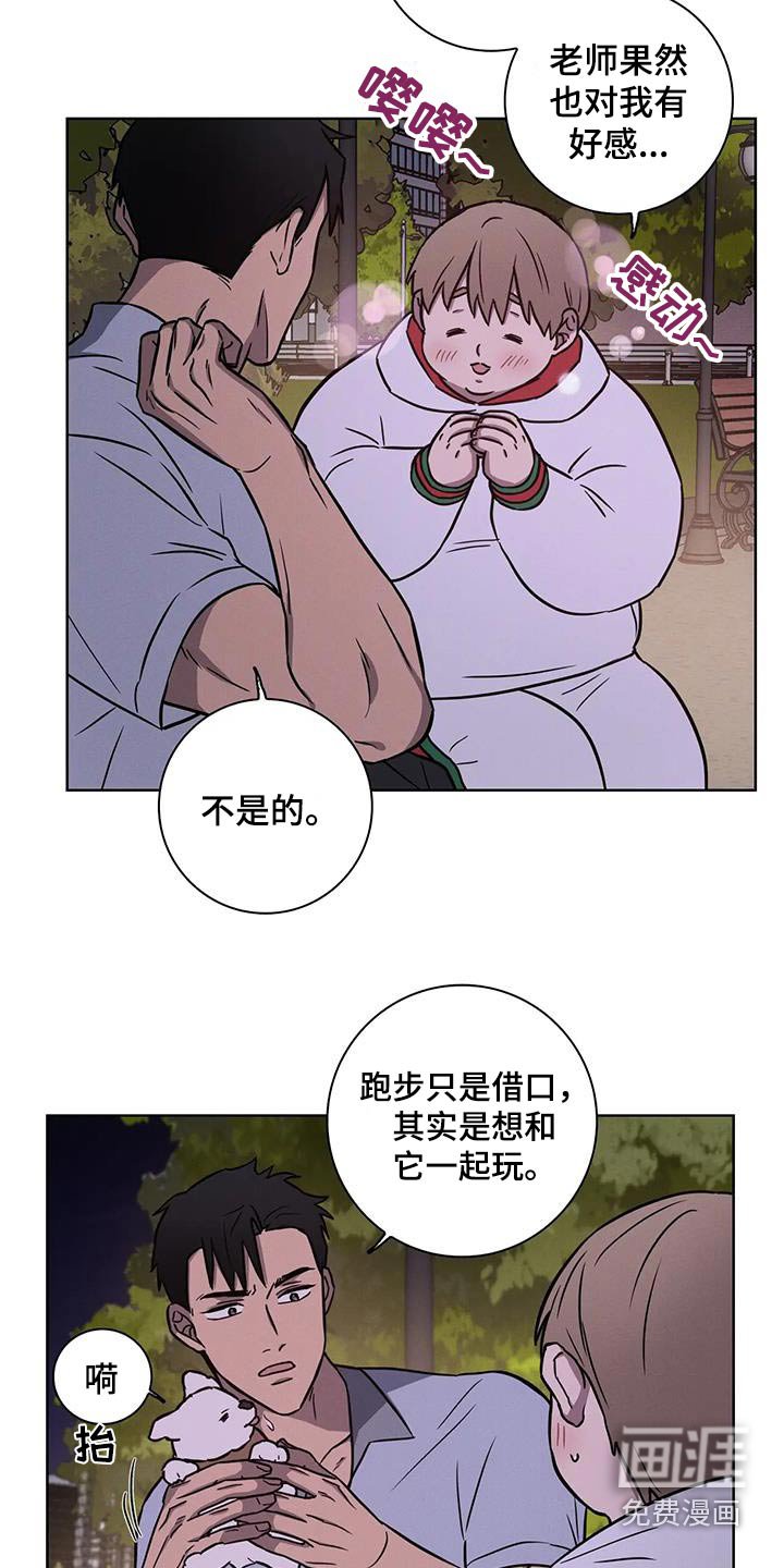 第34章：【番外】散步