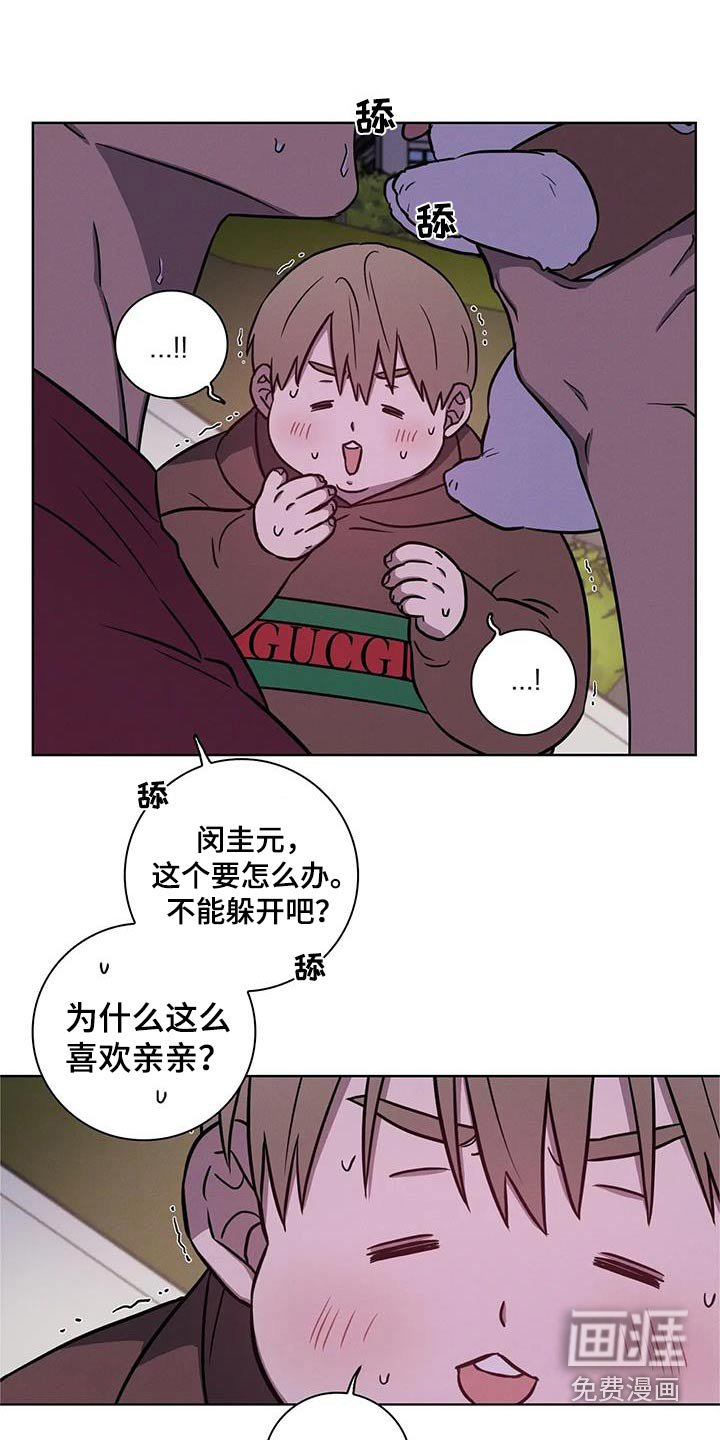 第36章：【番外】亲亲