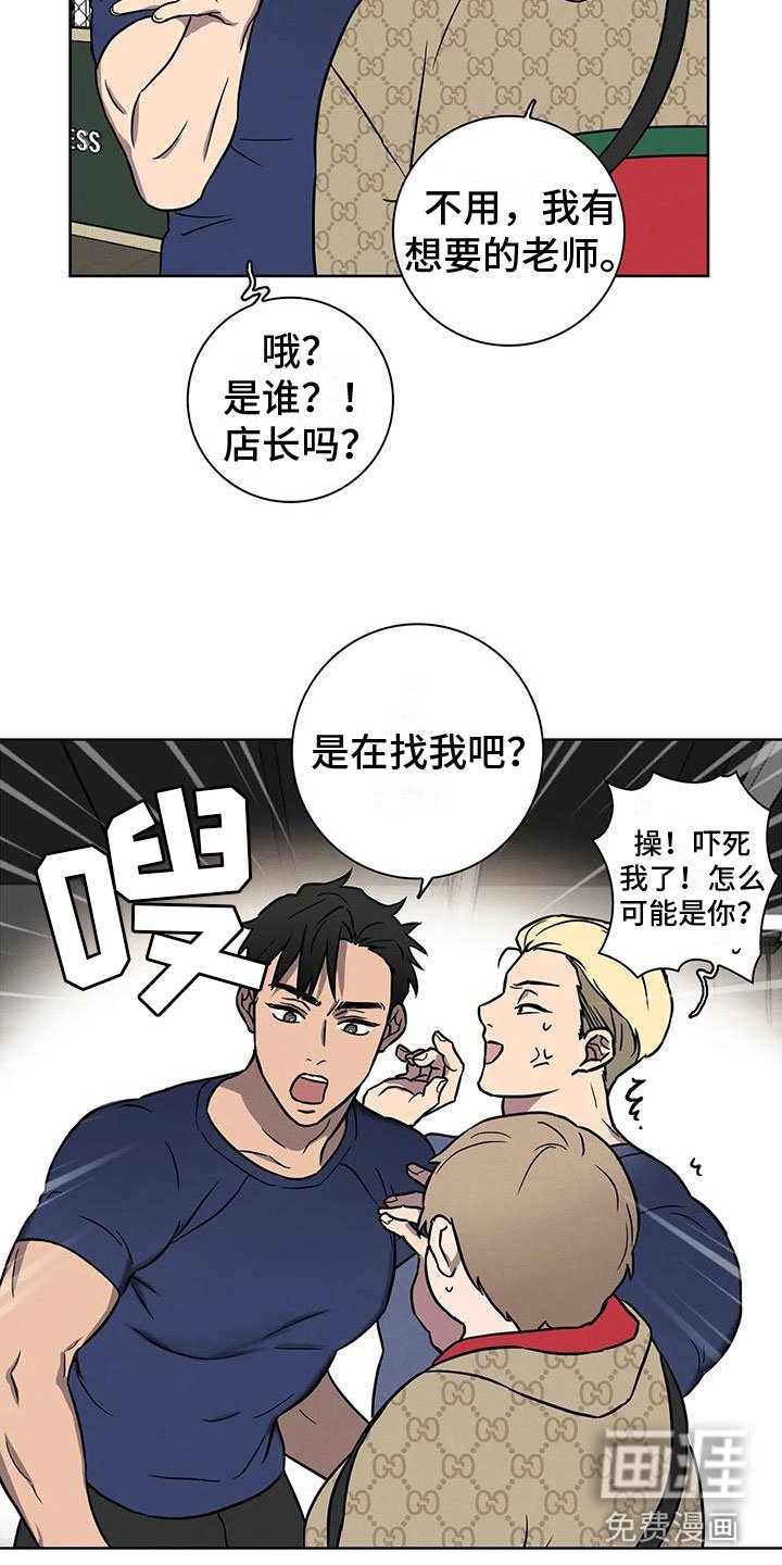 第4章：肥羊