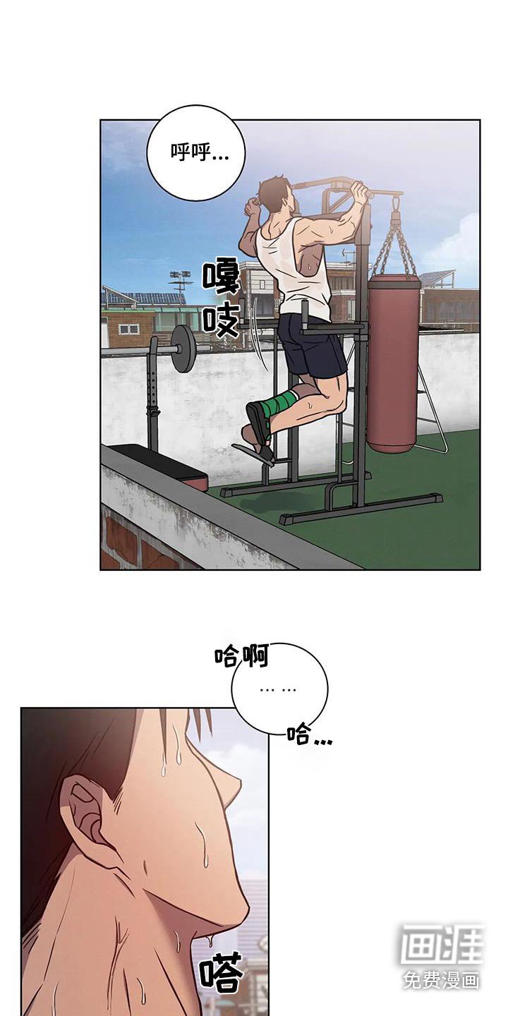 第40章：【番外】又来了