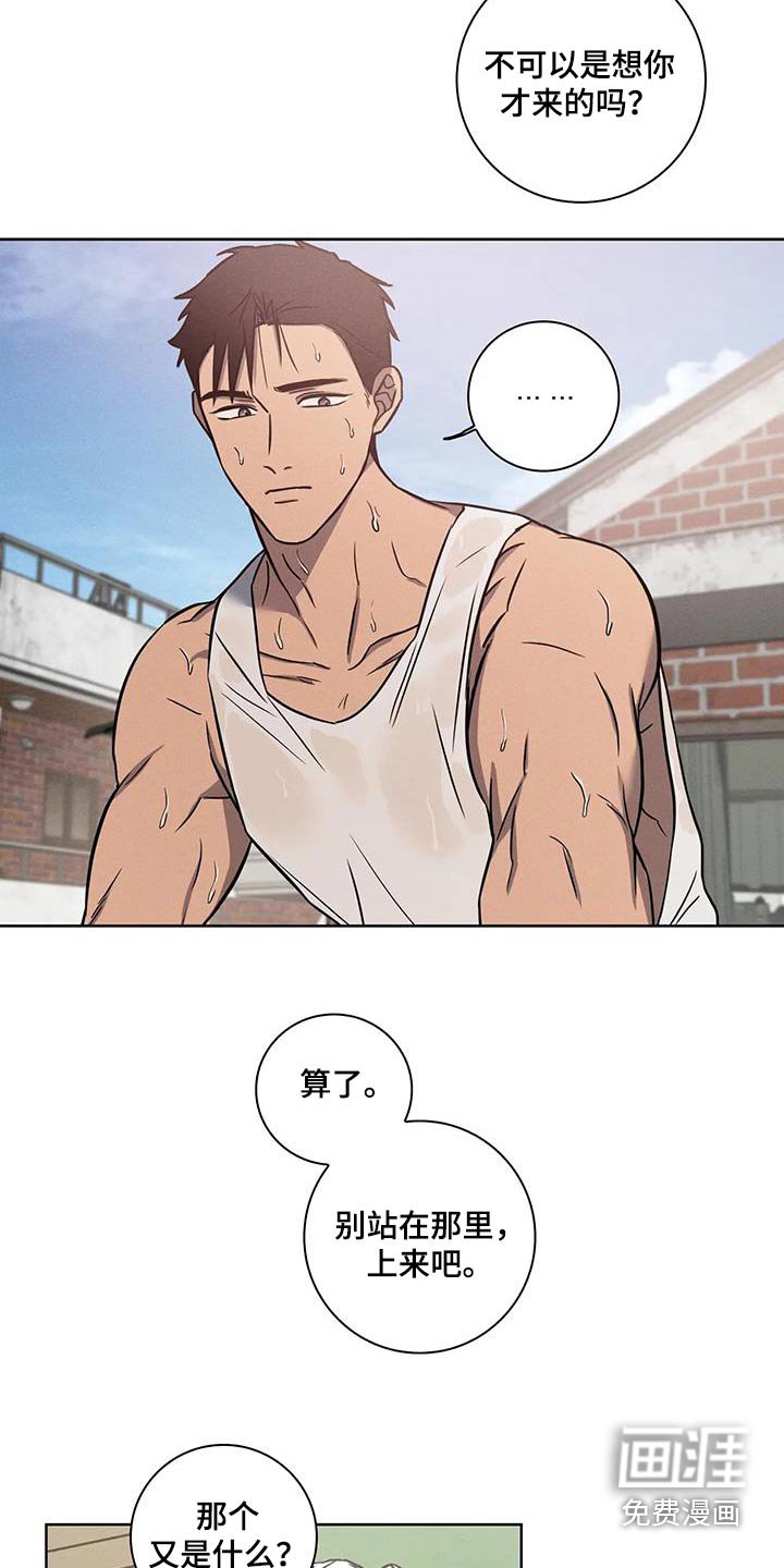 第40章：【番外】又来了