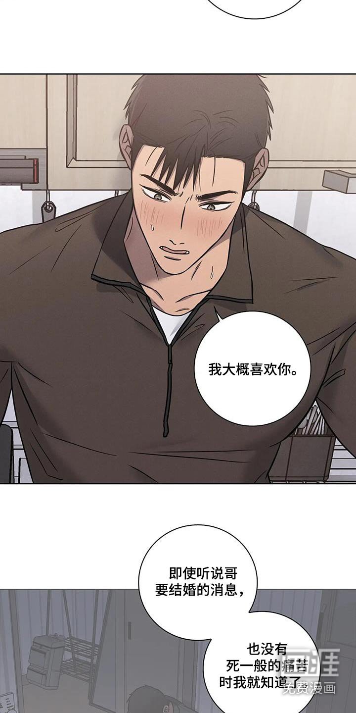 第45章：【番外】是喜欢你