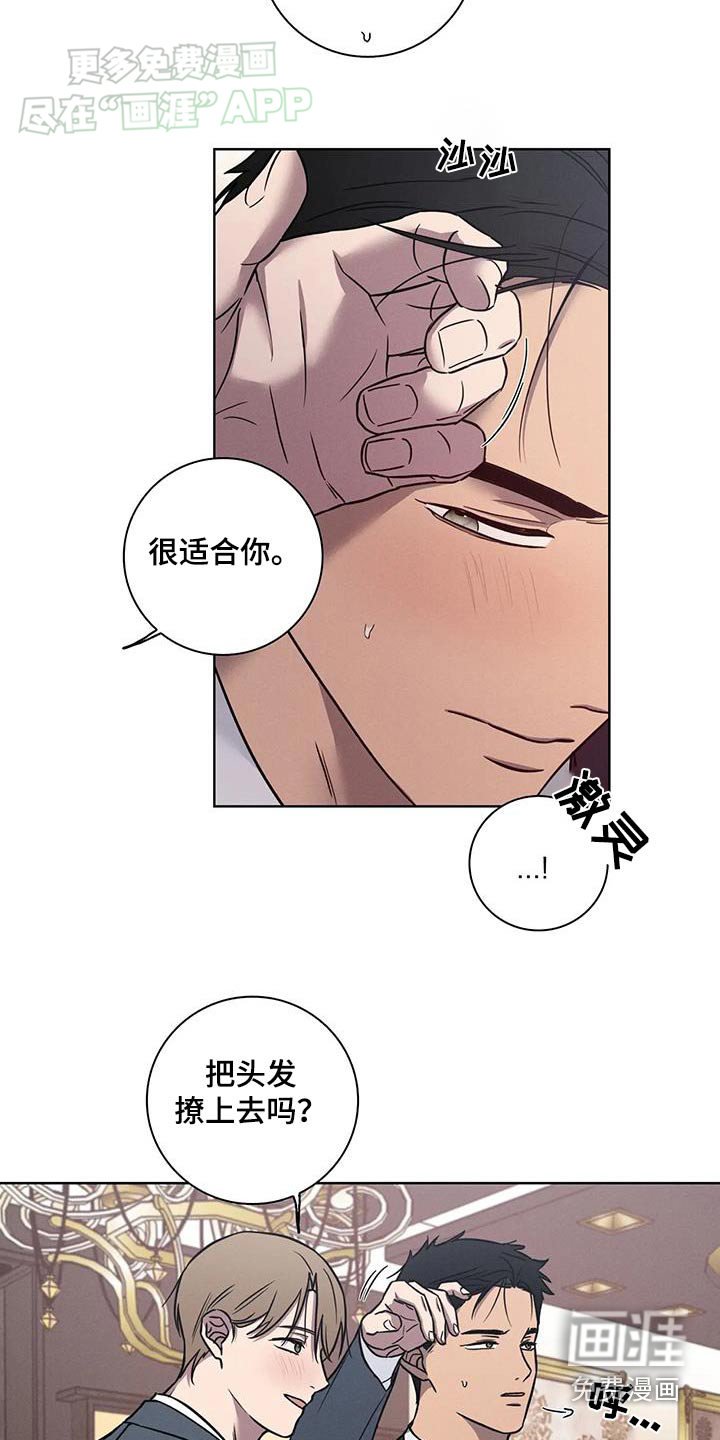 第52章：【番外】越来越喜欢