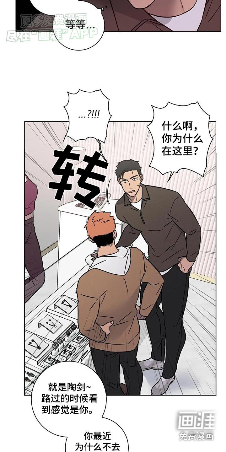 第54章：【番外】挑选