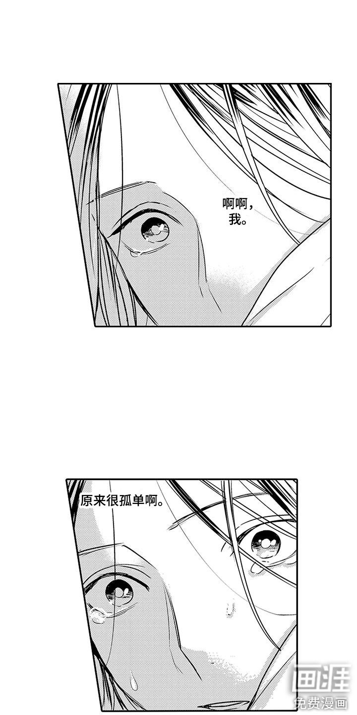 第16章：道歉