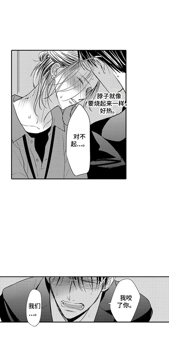 第3章：结为伴侣