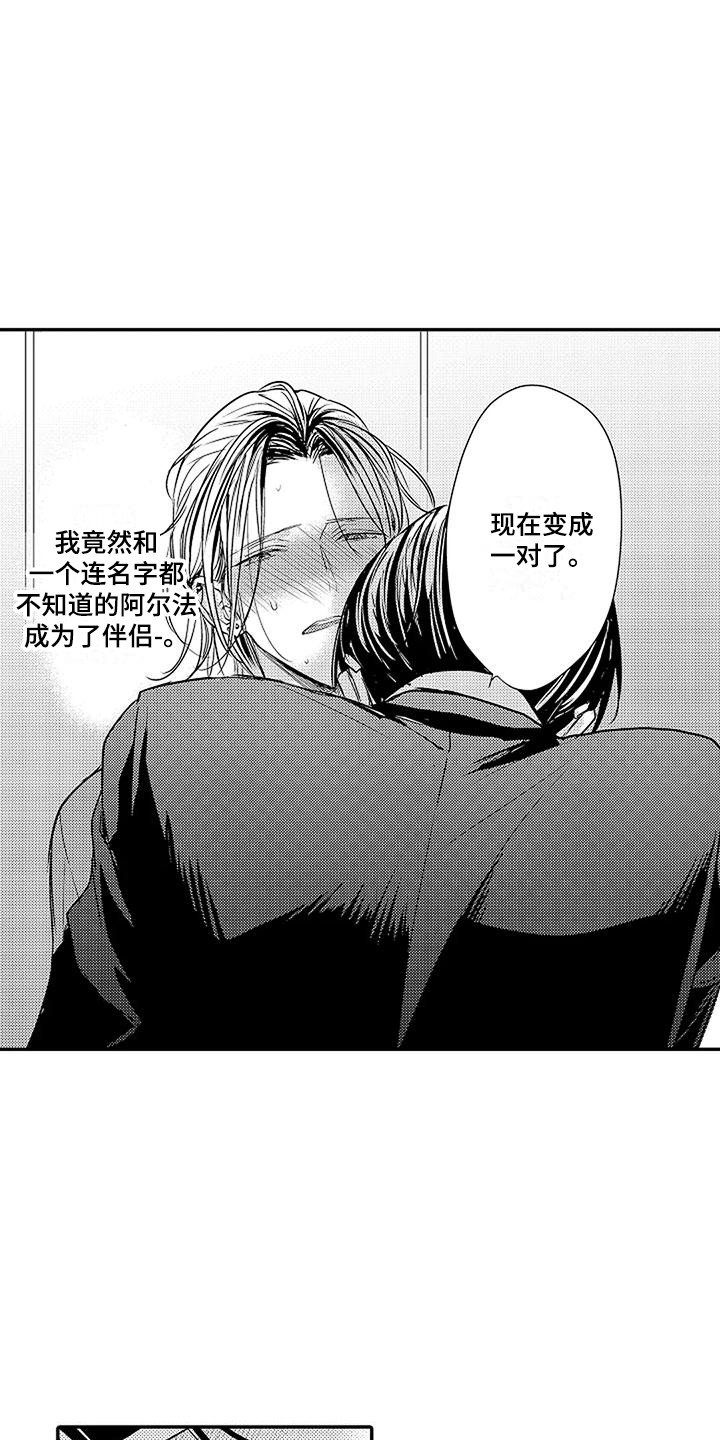 第3章：结为伴侣
