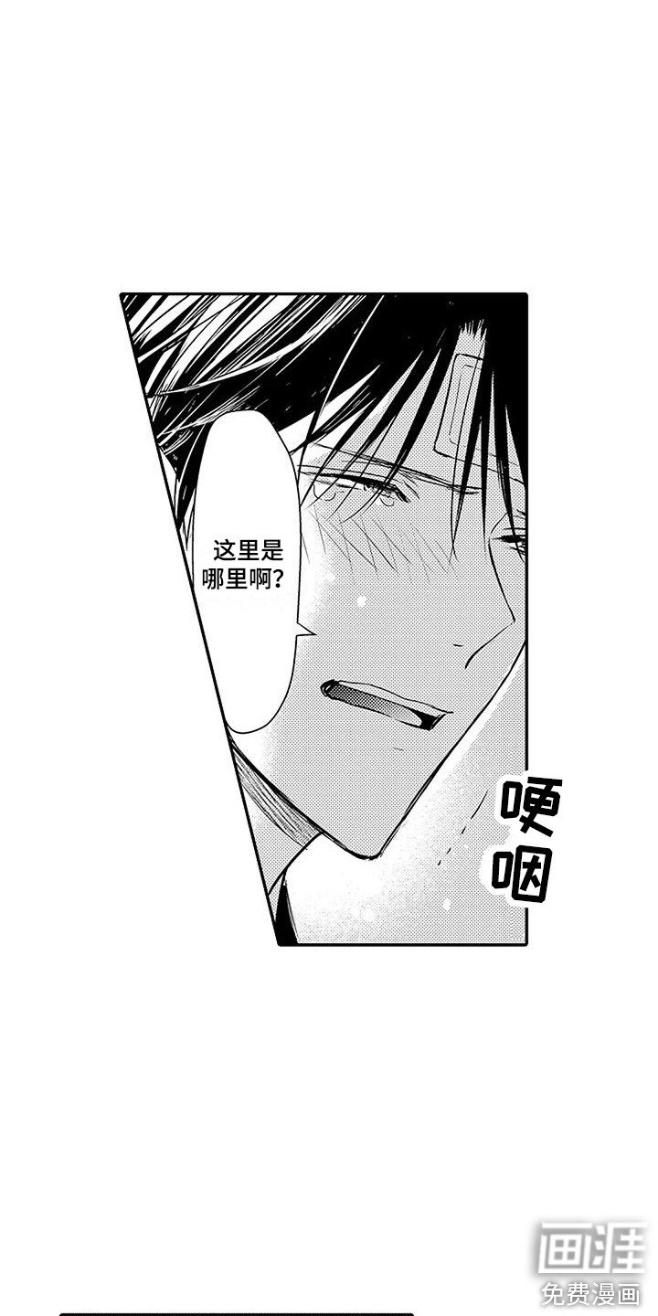 第7章：记忆混乱
