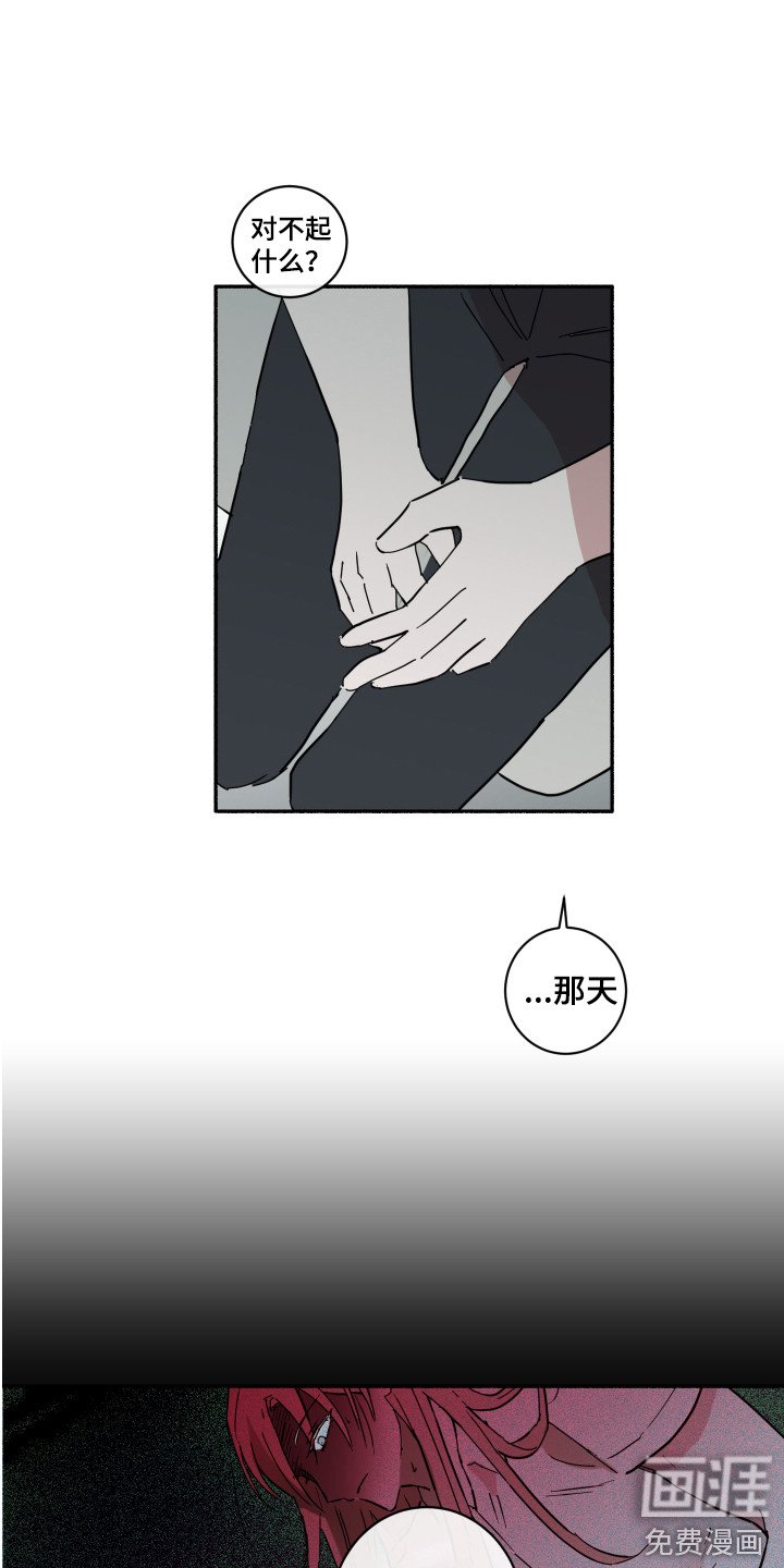 第11章：道歉
