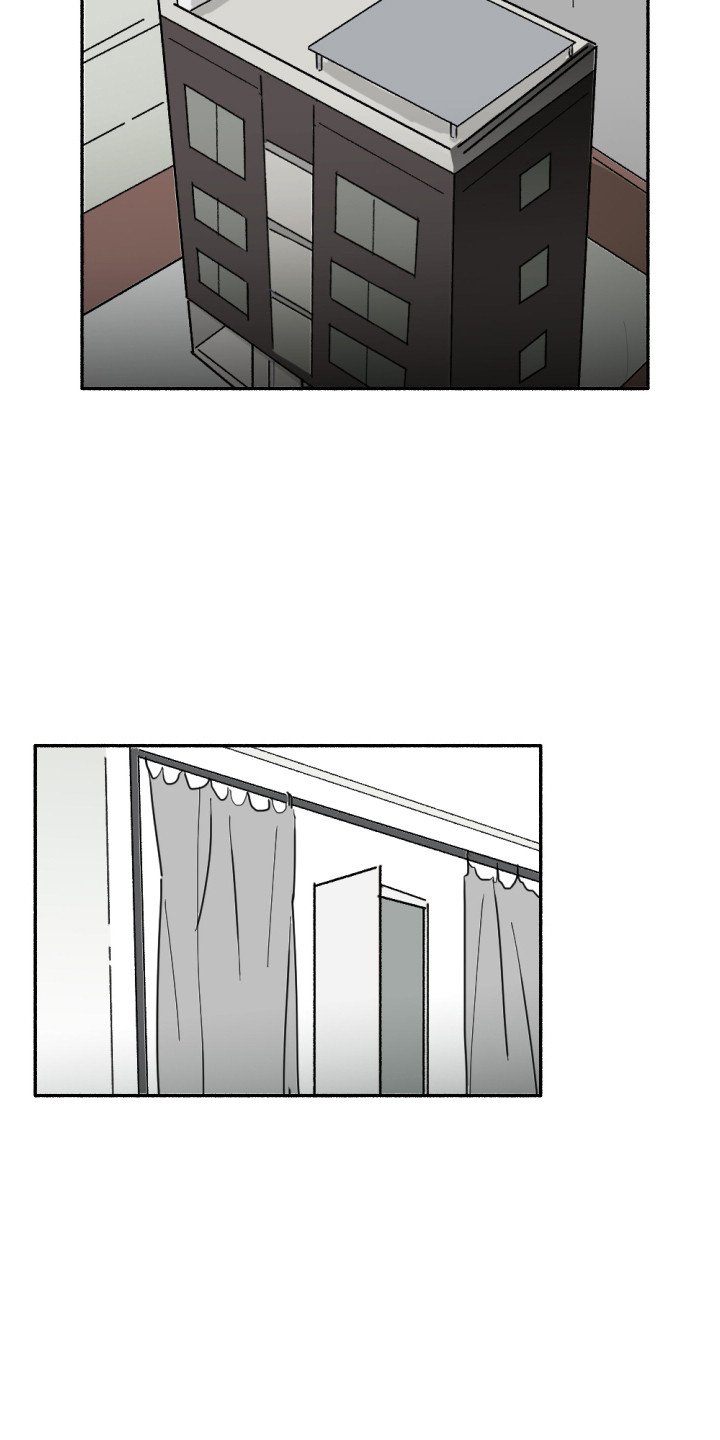 第3章：蜘蛛