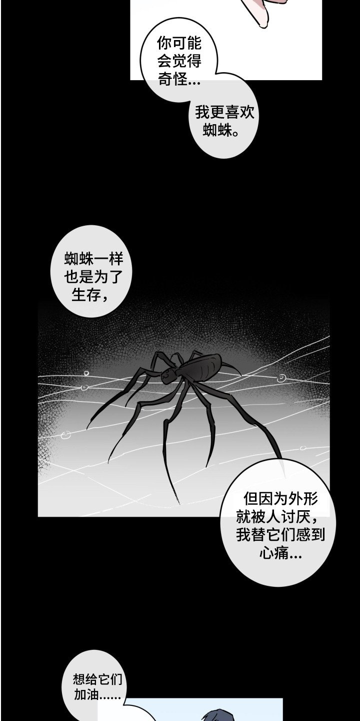 第3章：蜘蛛
