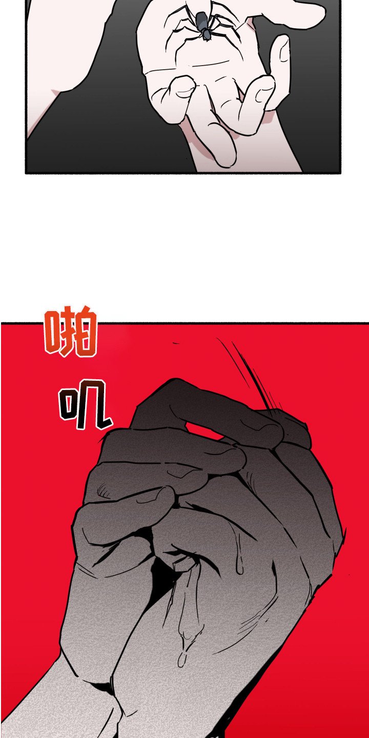 第3章：蜘蛛