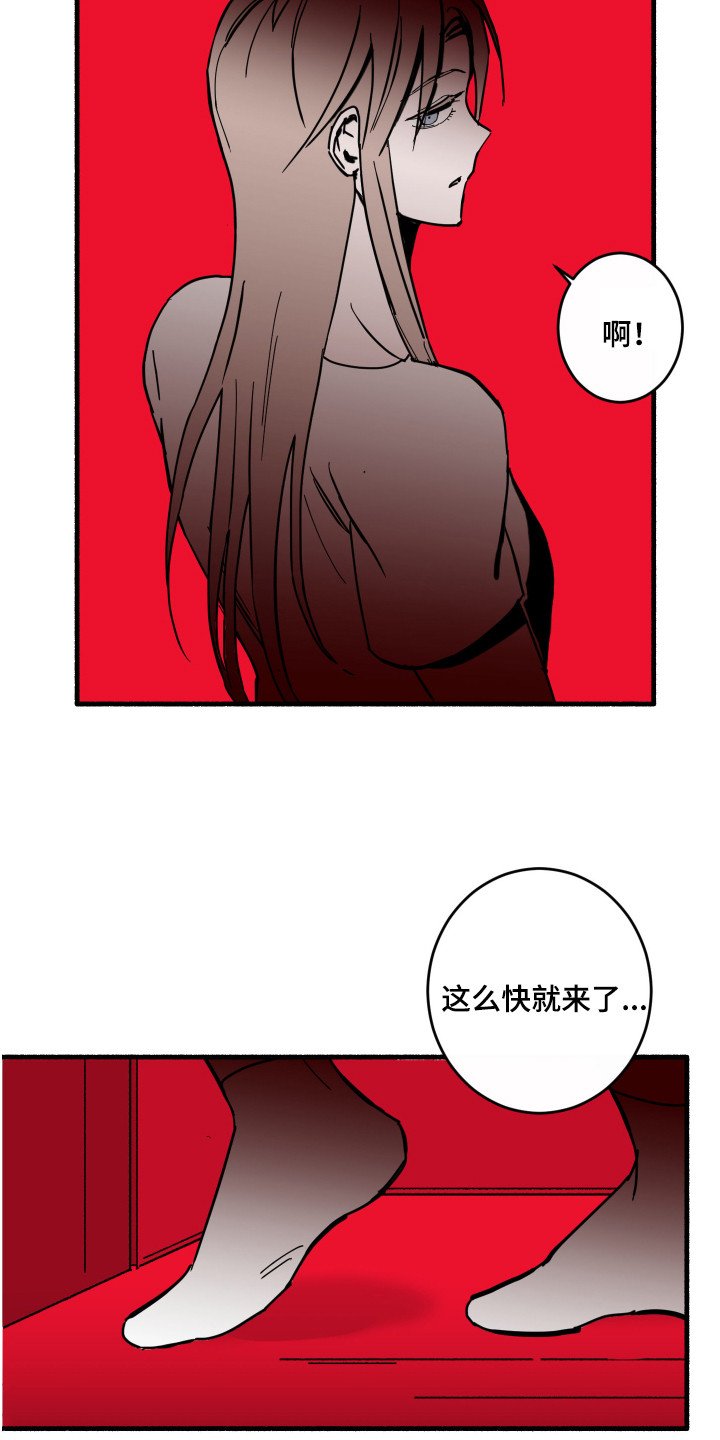 第3章：蜘蛛