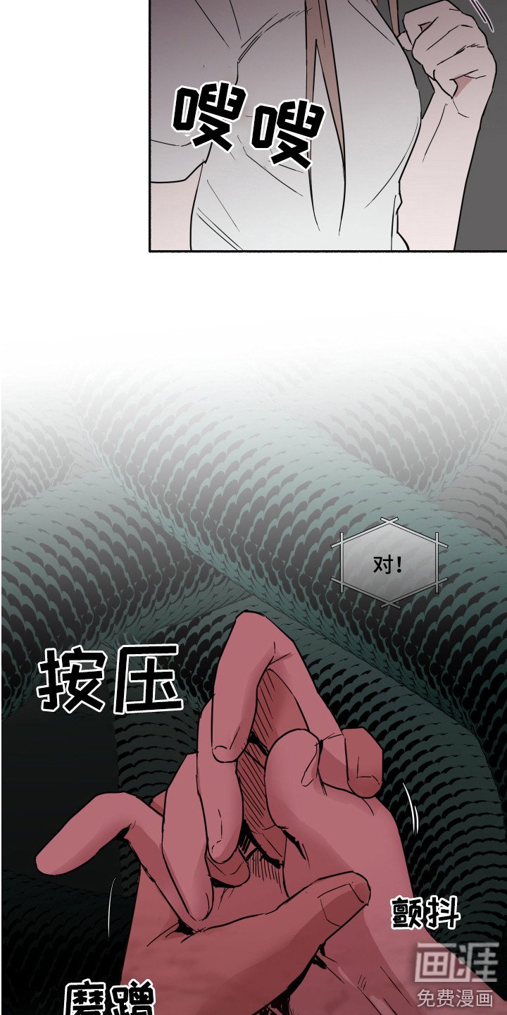 第7章：看电影