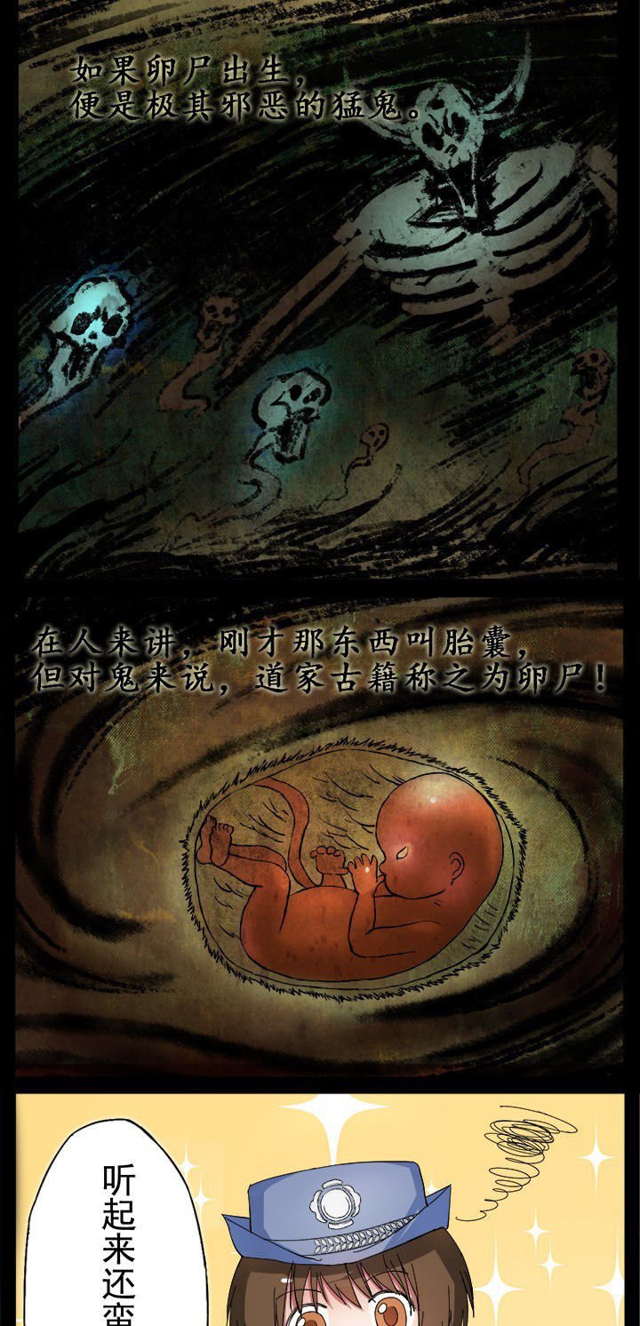 第9章：卵尸还是卵石