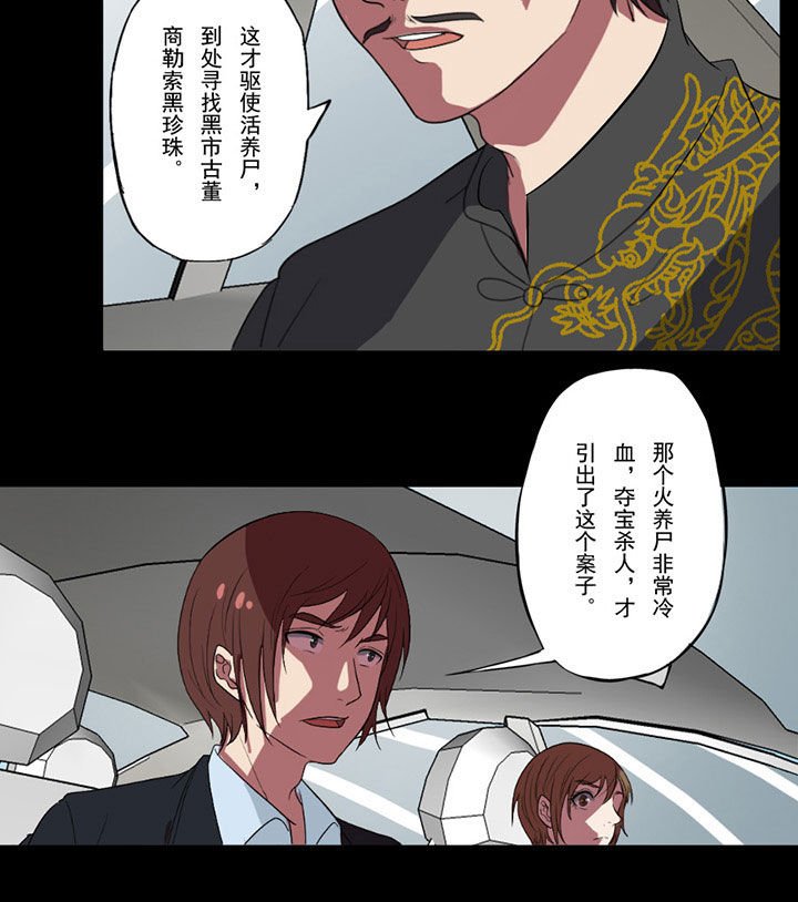 第91章：来龙去脉2