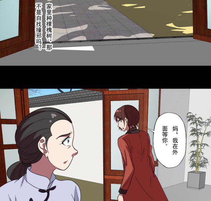 第96章：槐木取阴