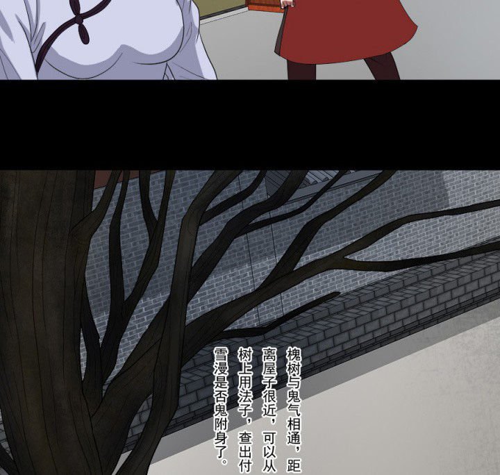 第96章：槐木取阴