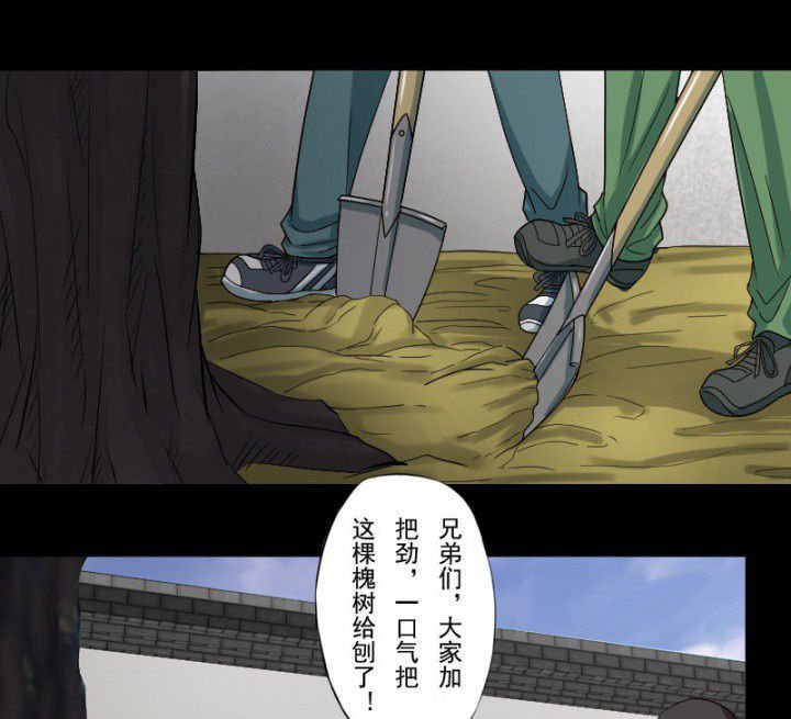 第99章：定亲