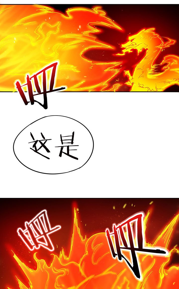 第210章：
