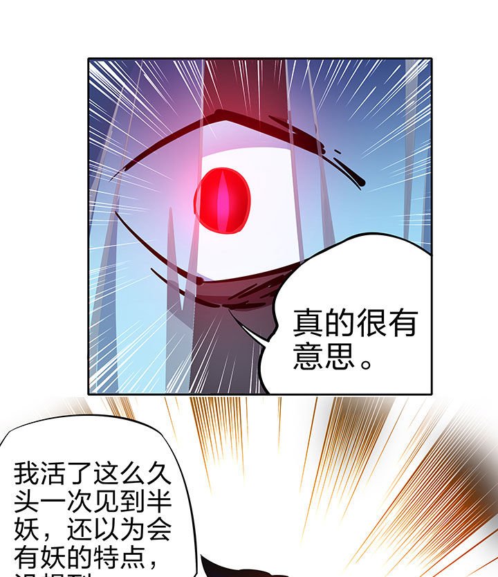 第251章：