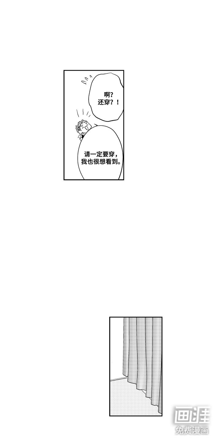 第13章：真实感