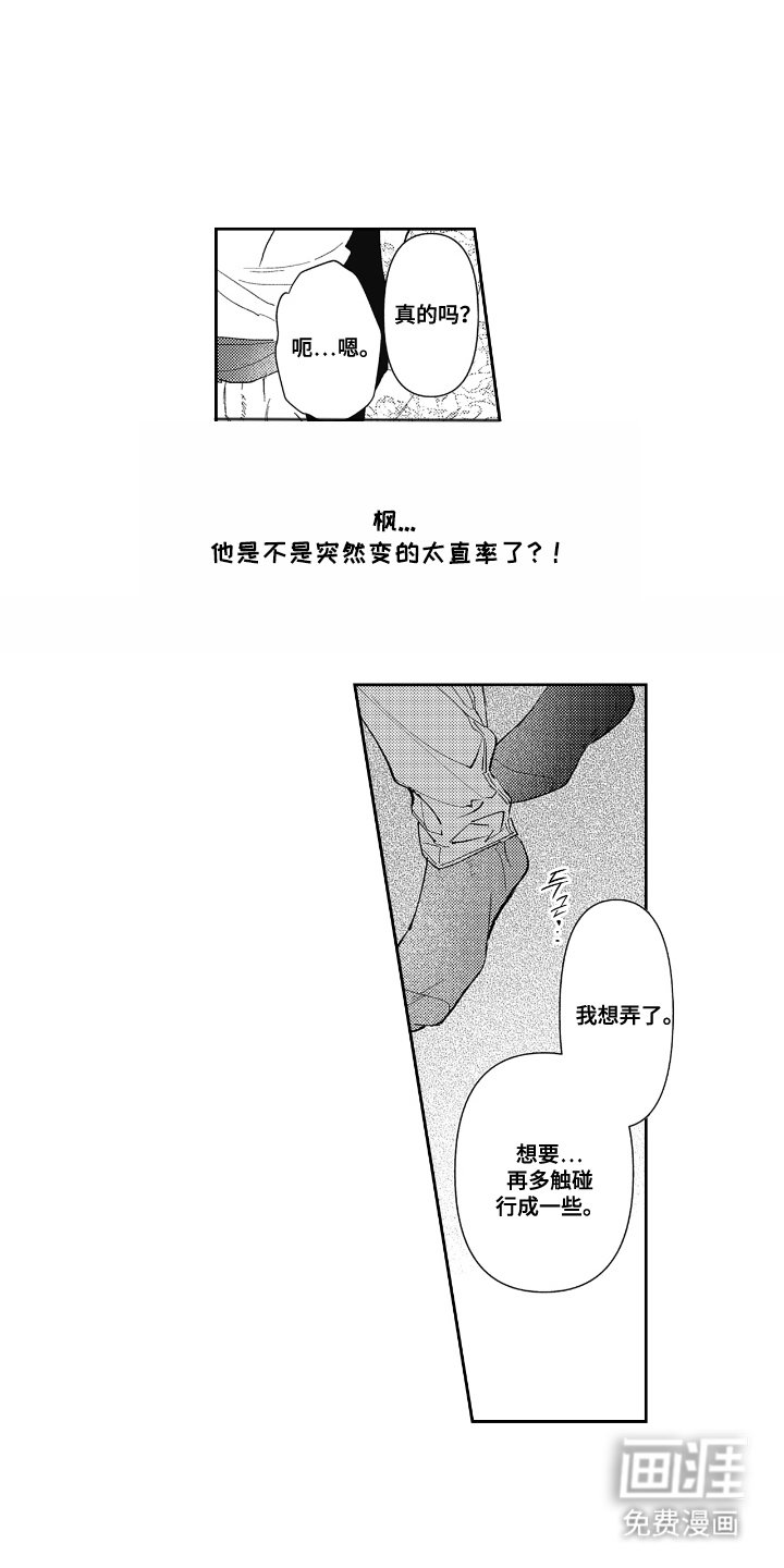 第13章：真实感