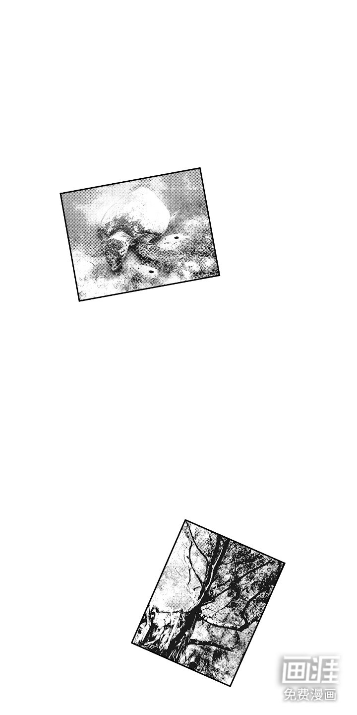 第20章：大海
