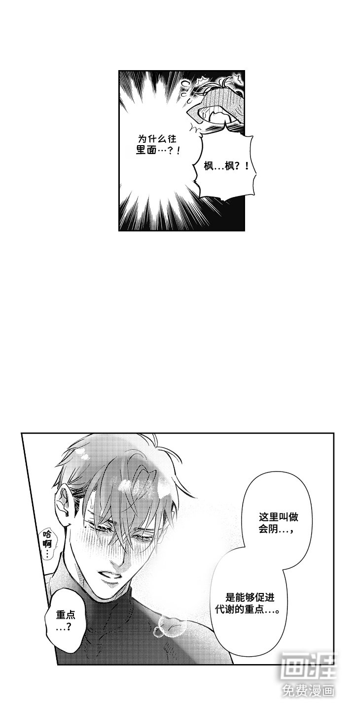 第8章：交给我