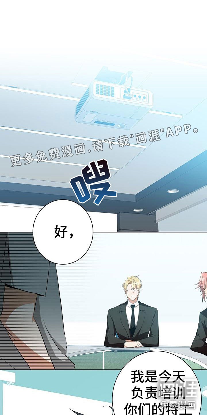 第11章：新人培训