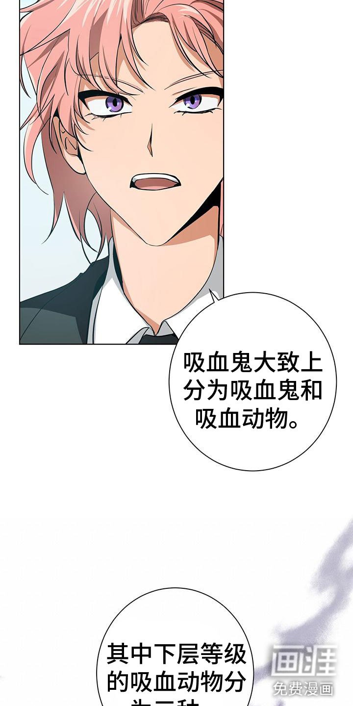 第11章：新人培训