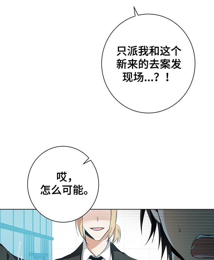 第15章：特别的