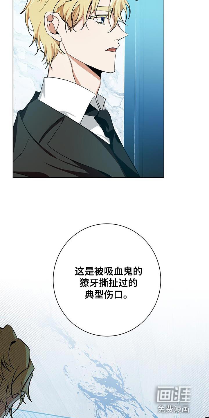 第17章：猜测