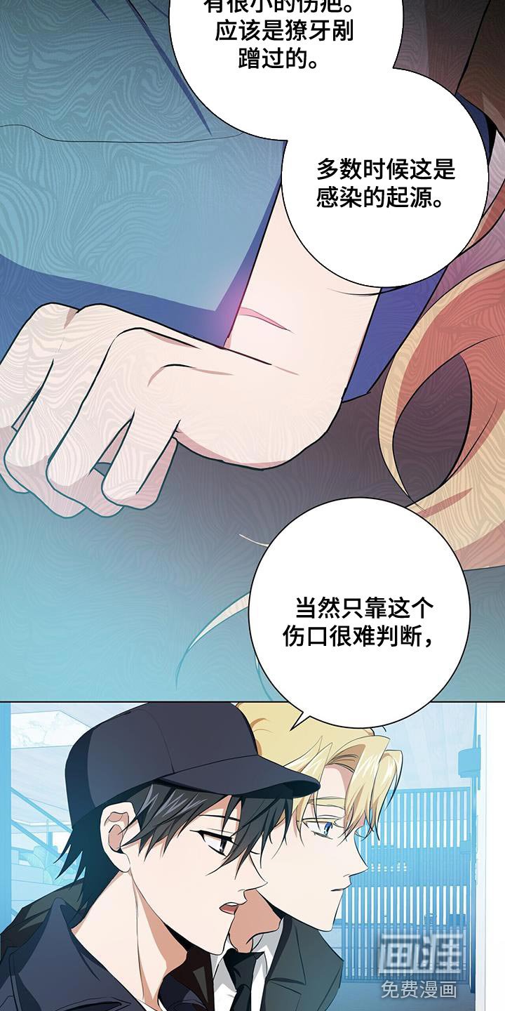 第17章：猜测