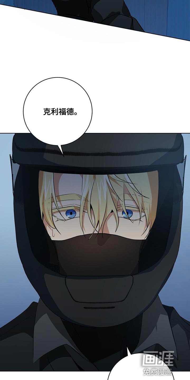 第21章：你的搭档