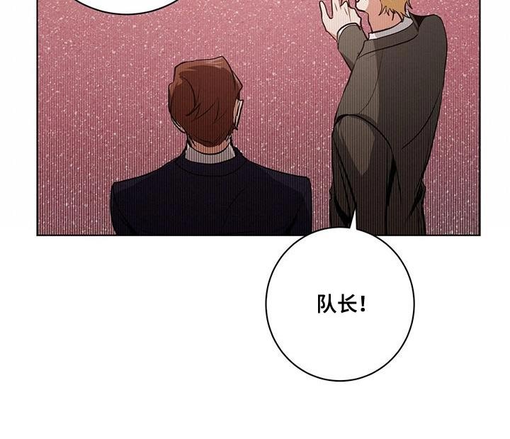 第28章：剩下的我自己查