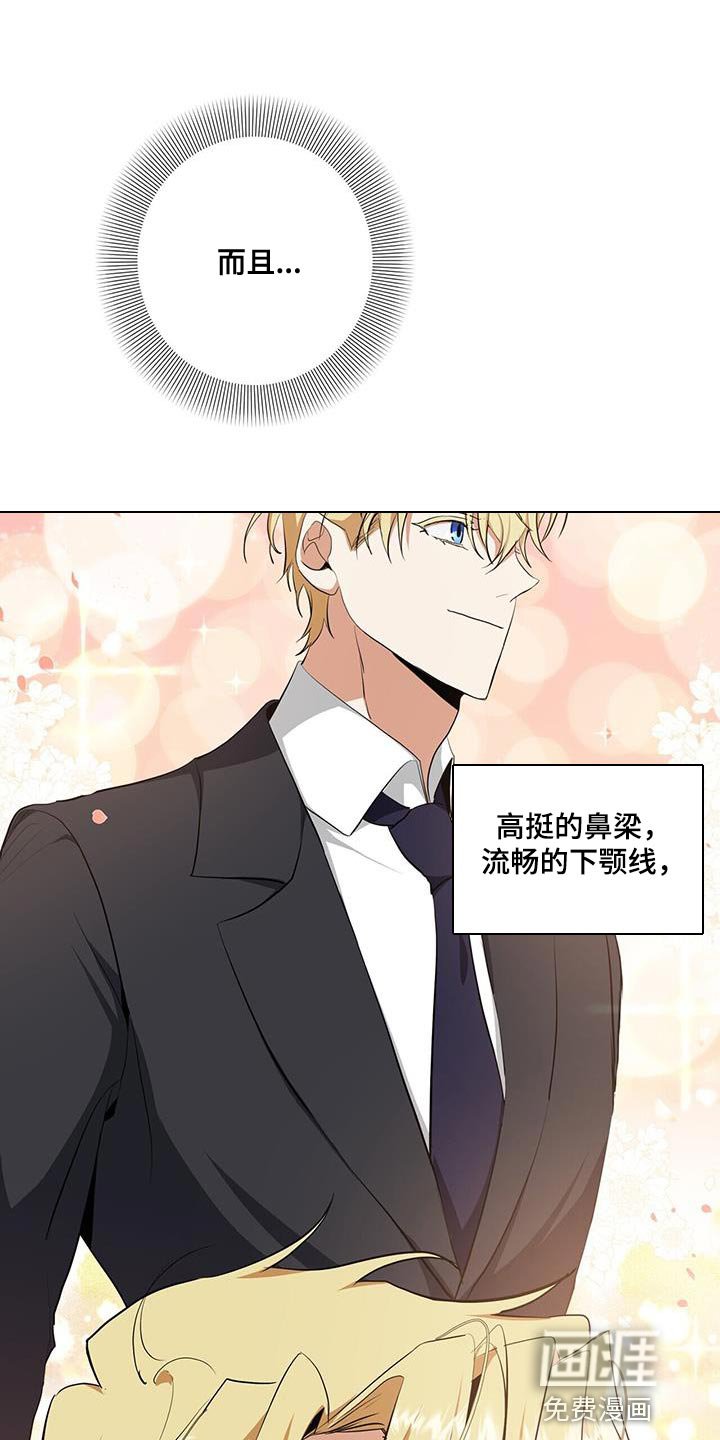 第36章：或许可以试试