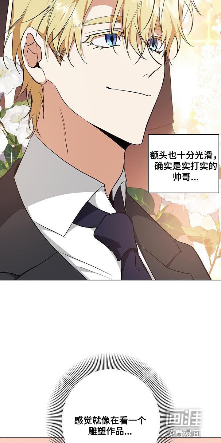 第36章：或许可以试试