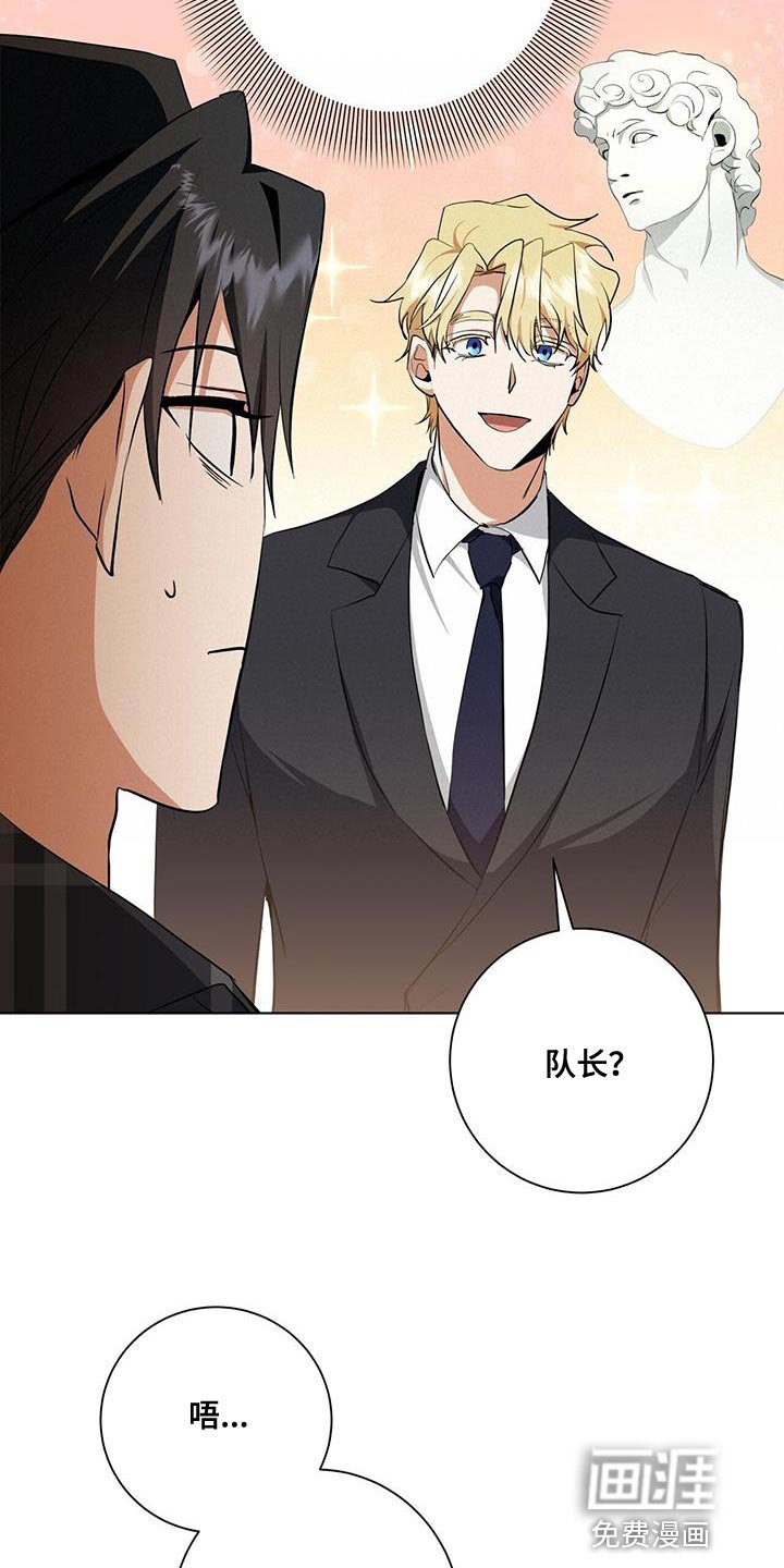 第36章：或许可以试试