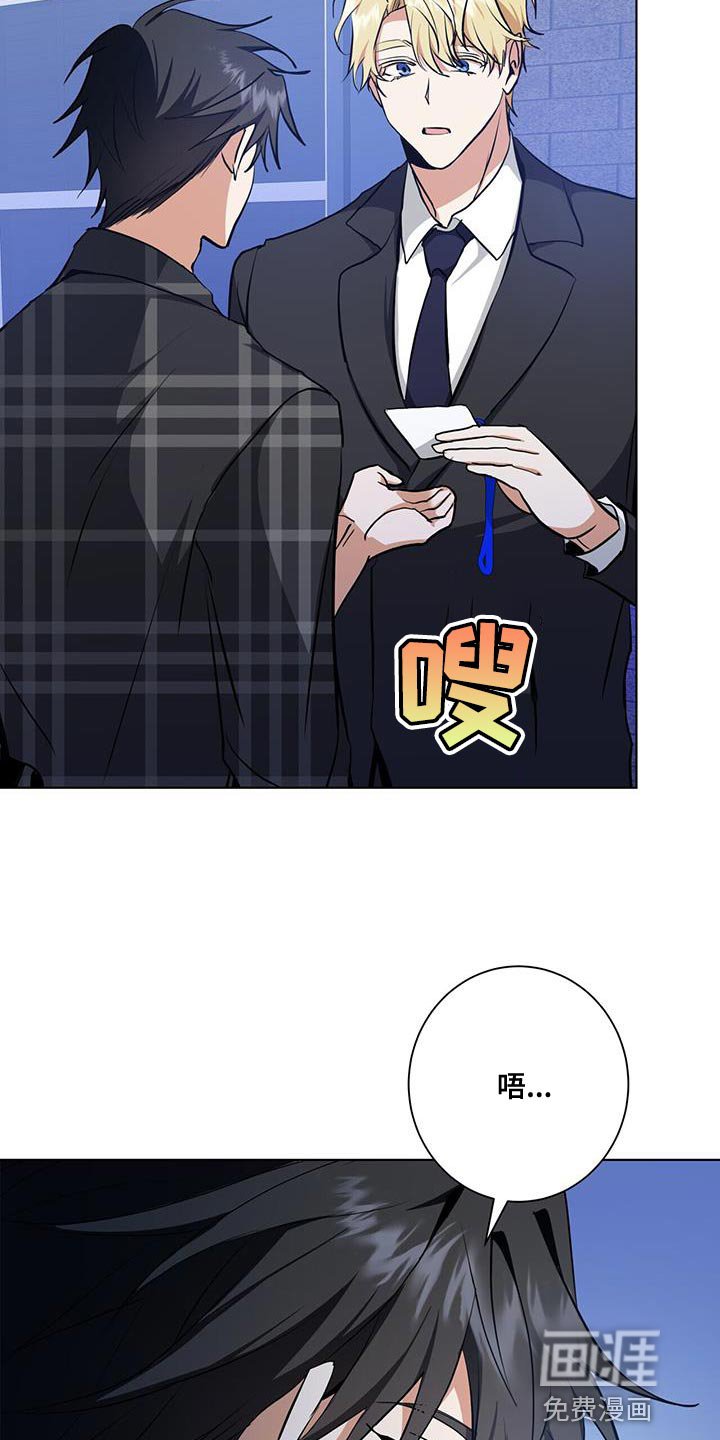 第36章：或许可以试试