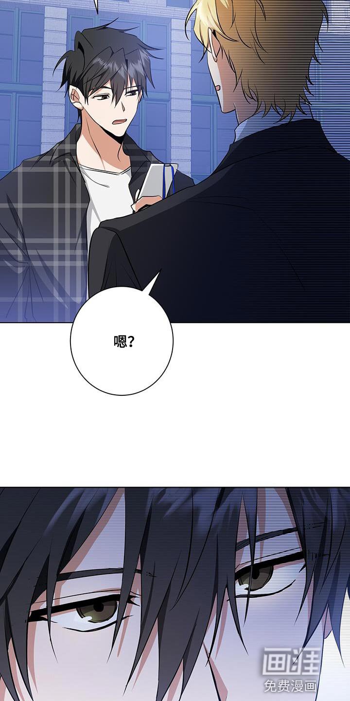 第36章：或许可以试试