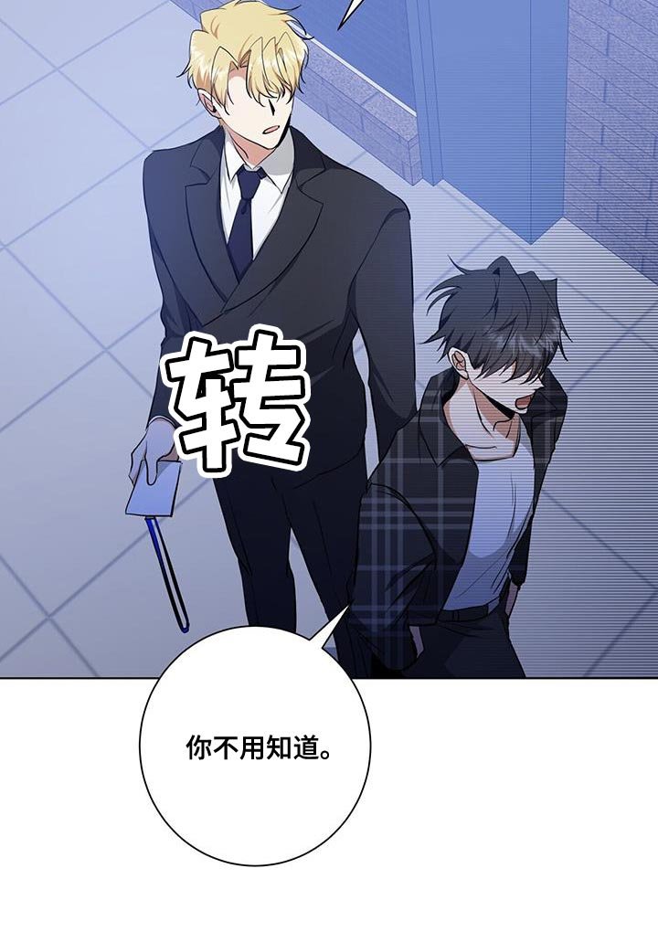 第36章：或许可以试试