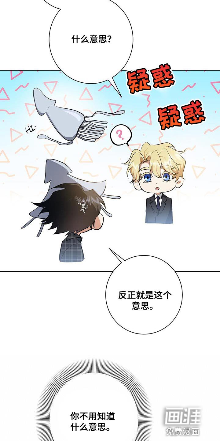 第36章：或许可以试试
