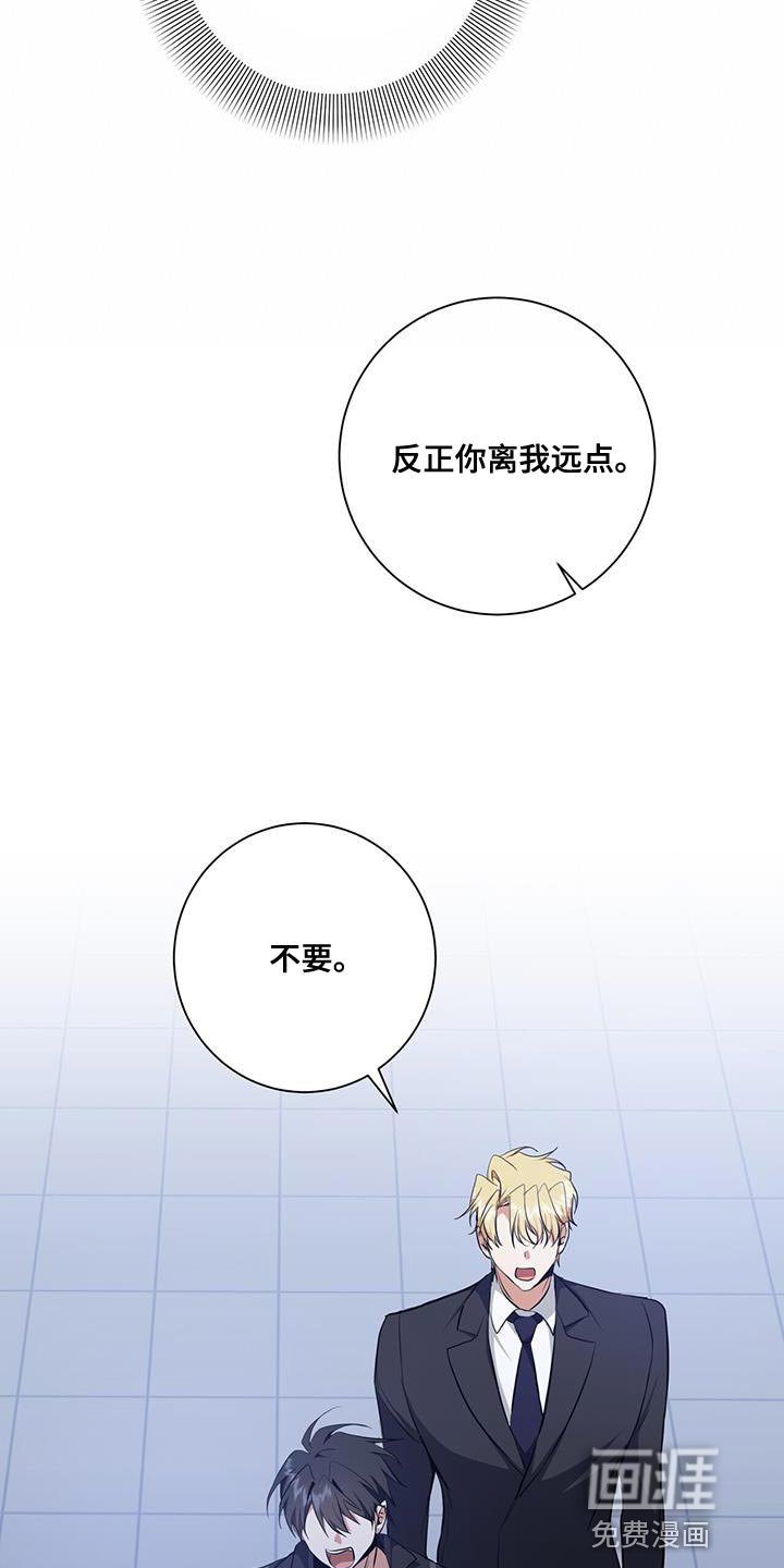 第36章：或许可以试试